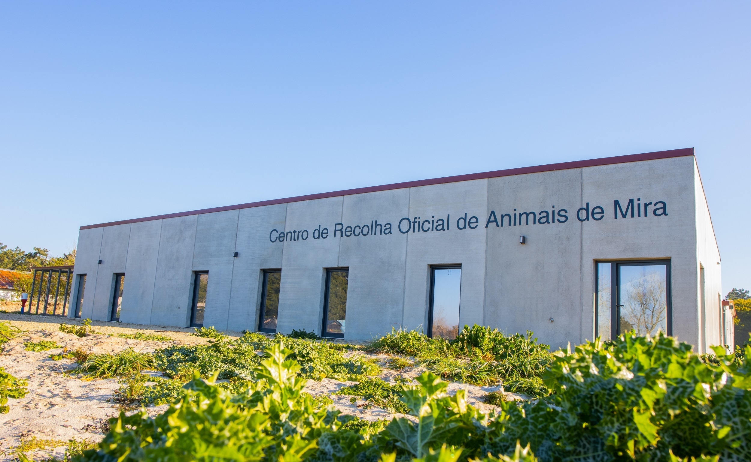 CONCLUÍDA A EMPREITADA DO CENTRO DE RECOLHA DE ANIMAIS DE MIRA